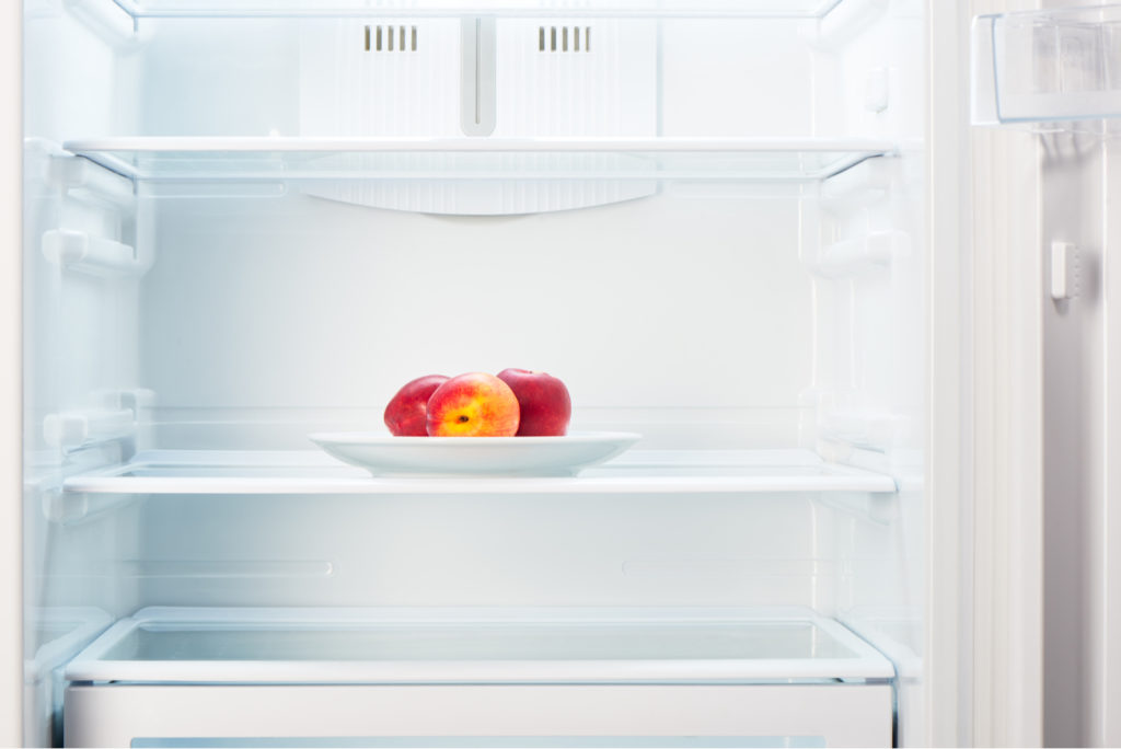 Empty Fridge Freezer