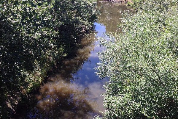 Gardiners Creek, Glen Iris