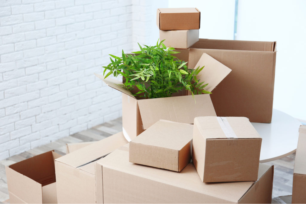 How To Pack Plants For Moving House