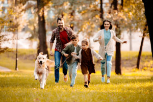 Family moving with a dog